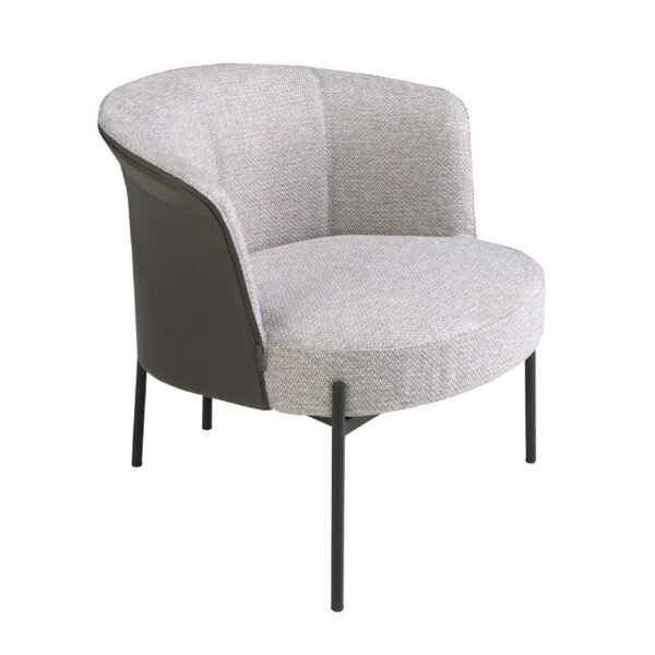 Roma Lounge Chair Poltrona - Image 4